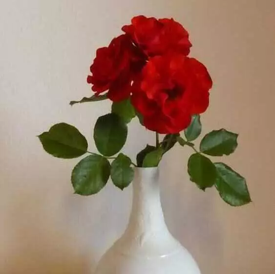 Majatalo Haus Rosmarin