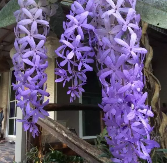 Pupiang Po Da Arte Resort