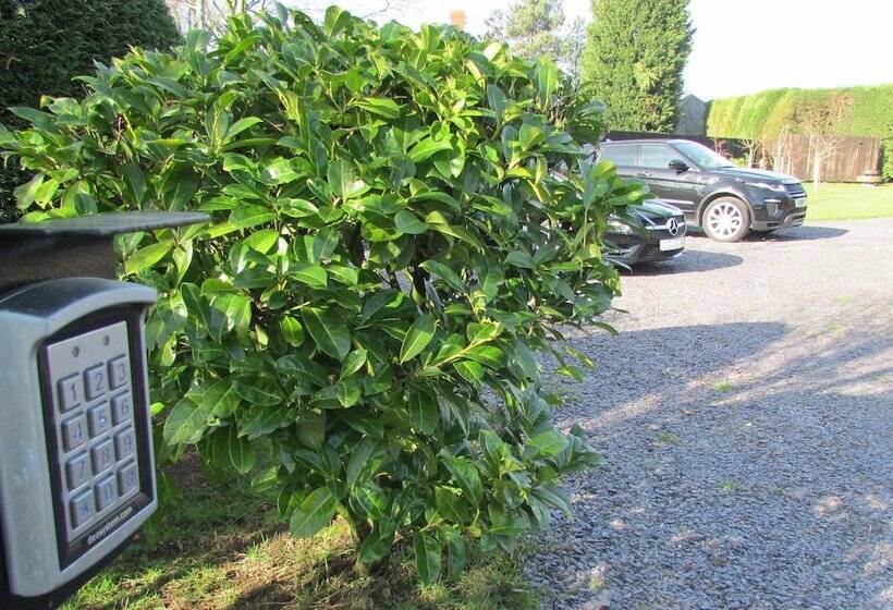 住宿加早餐 Willow Lodge Hambleton