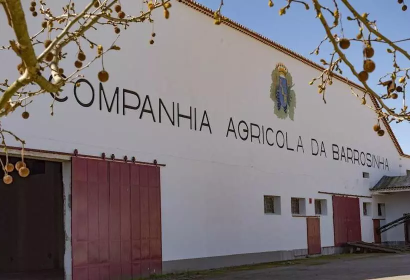 Hotelli Da Barrosinha