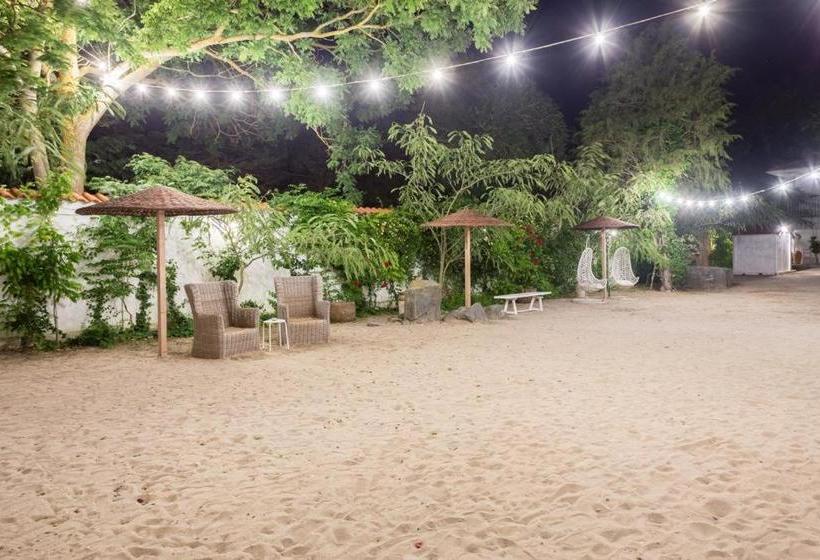 بنسيون Casa De Mare