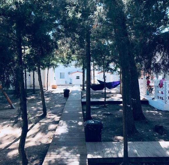 بنسيون Casa De Mare