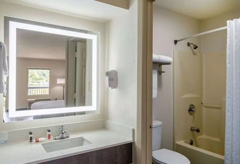 ホテル Days Inn By Wyndham Clemson