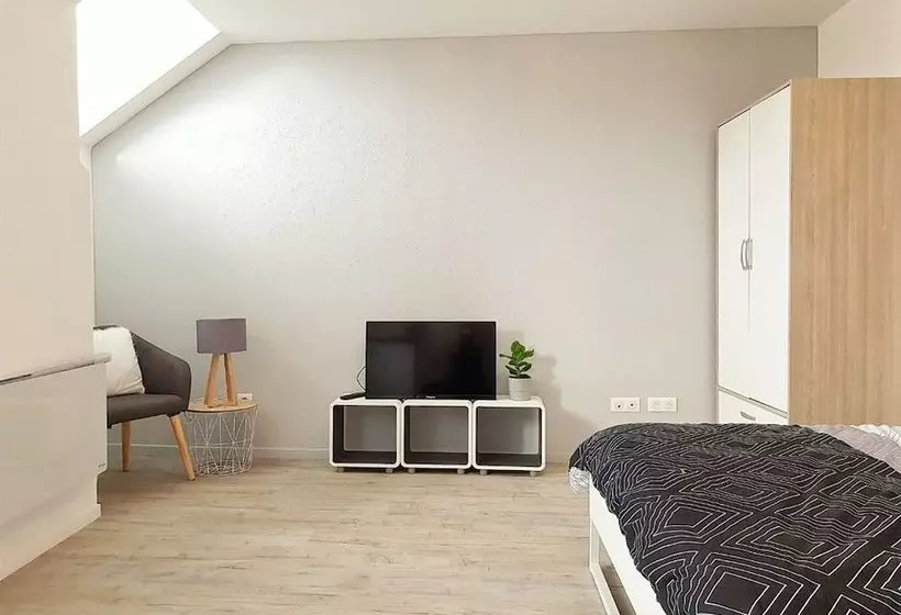 Les 4 S De La Sinne