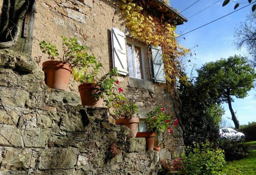 膳宿费 La Basserie