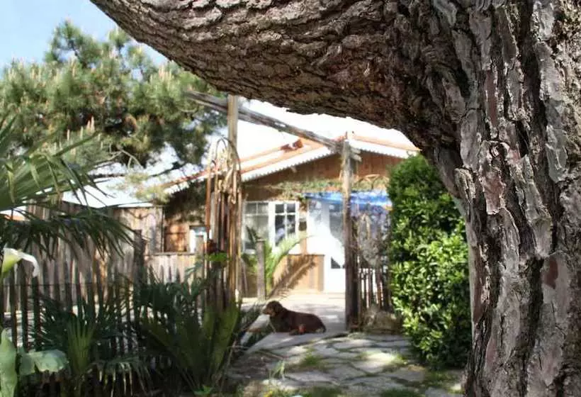 ペンション La Cabane De Bebert