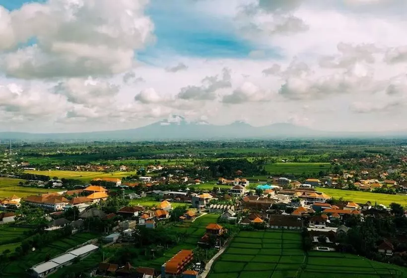 هتل D Jineng Rice Terrace Canggu