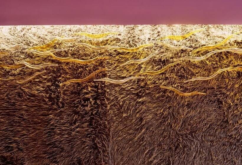 پانسیون Da Sang Men B&b