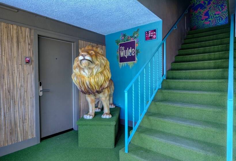 هتل Downtowner Boutique