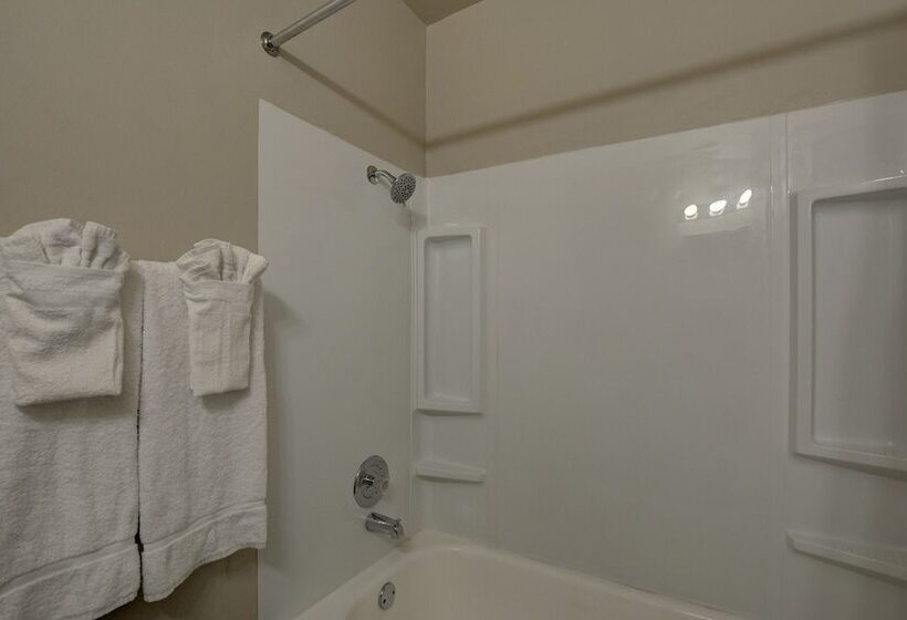 هتل Downtowner Boutique