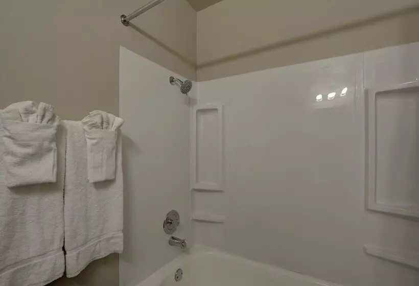 Отель Downtowner Boutique