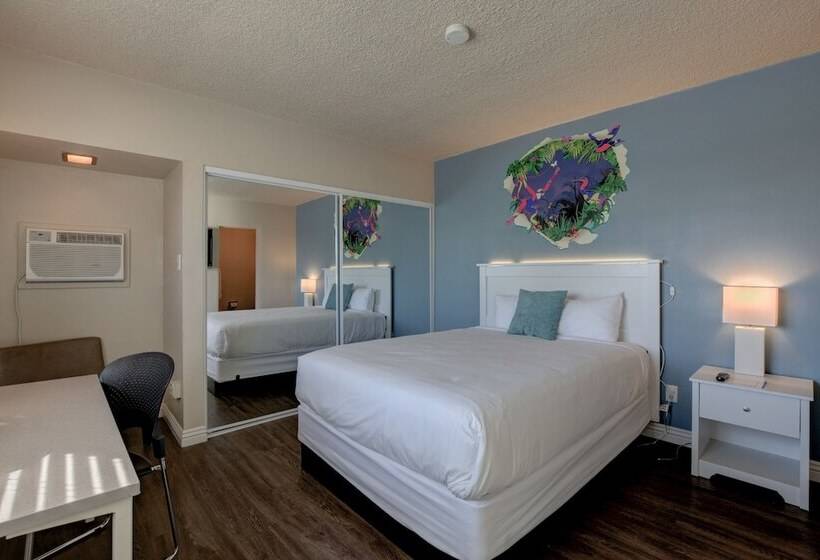 هتل Downtowner Boutique