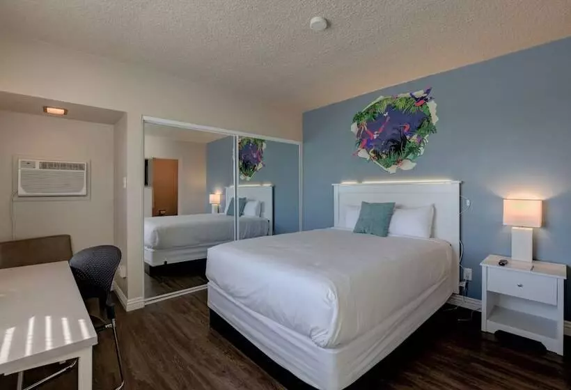 Отель Downtowner Boutique