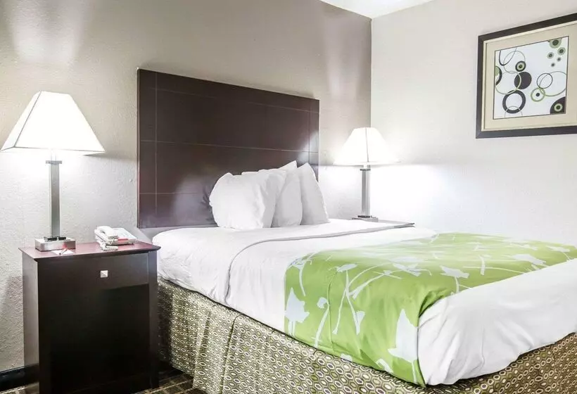 ホテル Econo Lodge