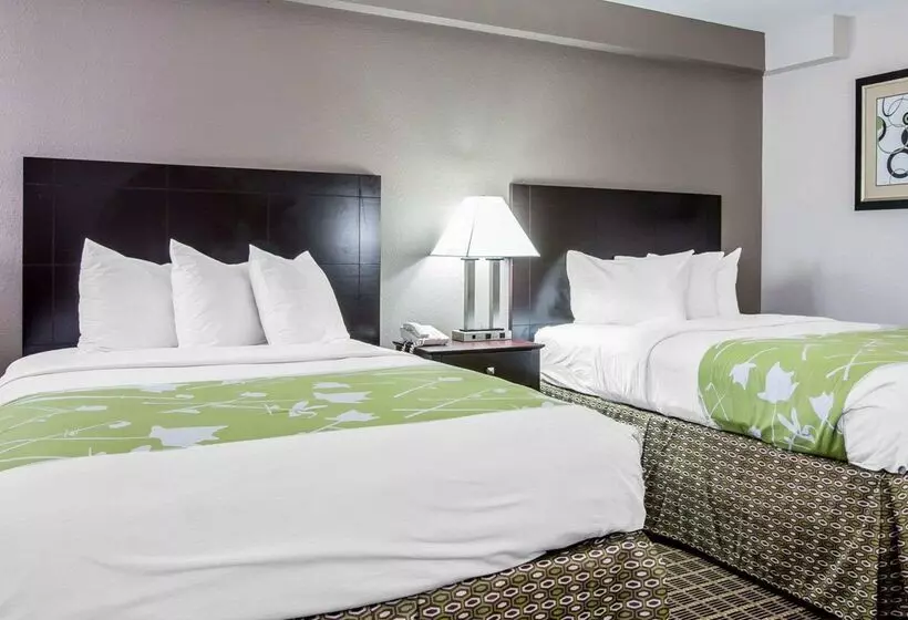 ホテル Econo Lodge