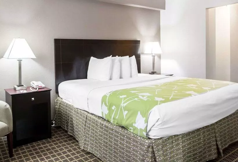 ホテル Econo Lodge