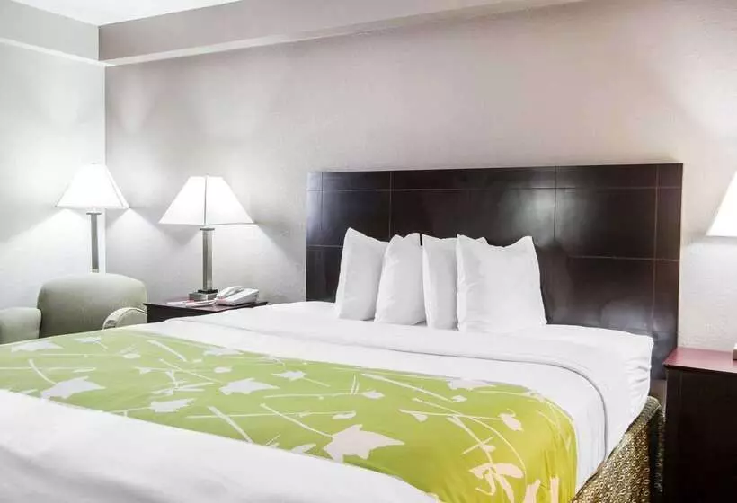 ホテル Econo Lodge
