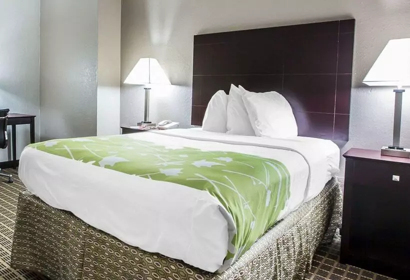 ホテル Econo Lodge