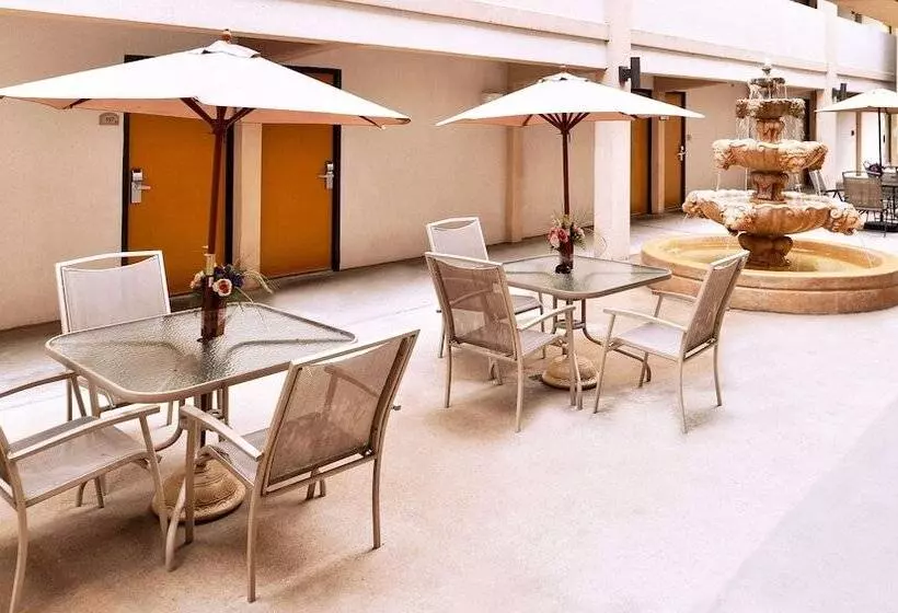 酒店 Executive Inn & Suites