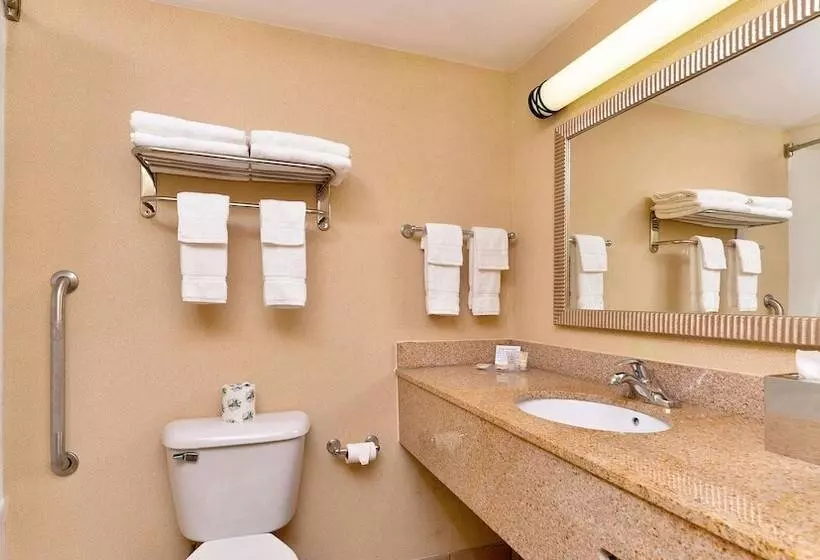 酒店 Executive Inn & Suites