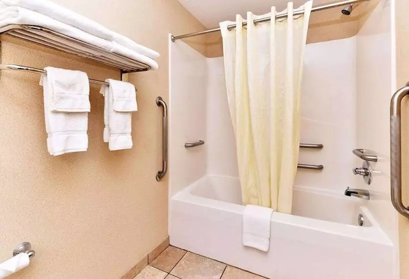 酒店 Executive Inn & Suites