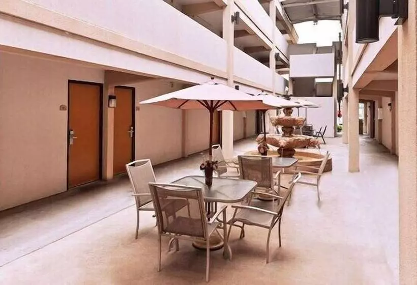 酒店 Executive Inn & Suites