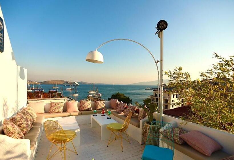 فندق Illyrian Boutique