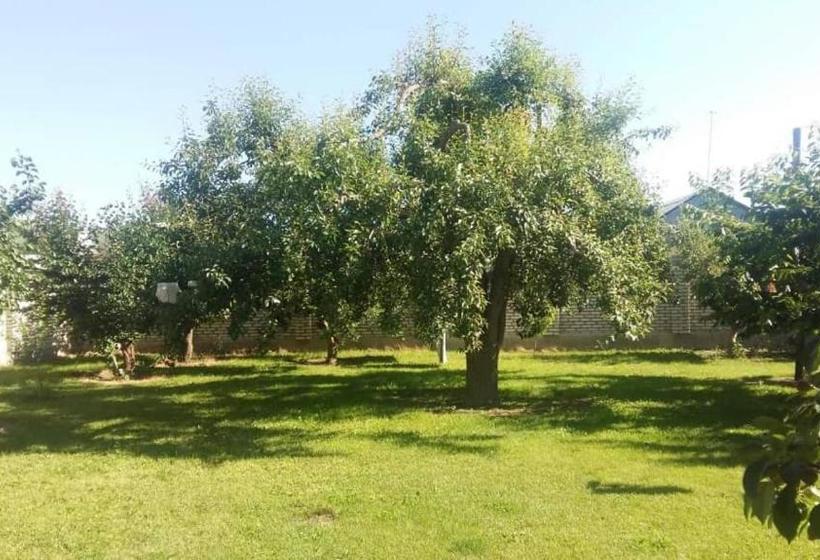 پانسیون Guest House Aziza