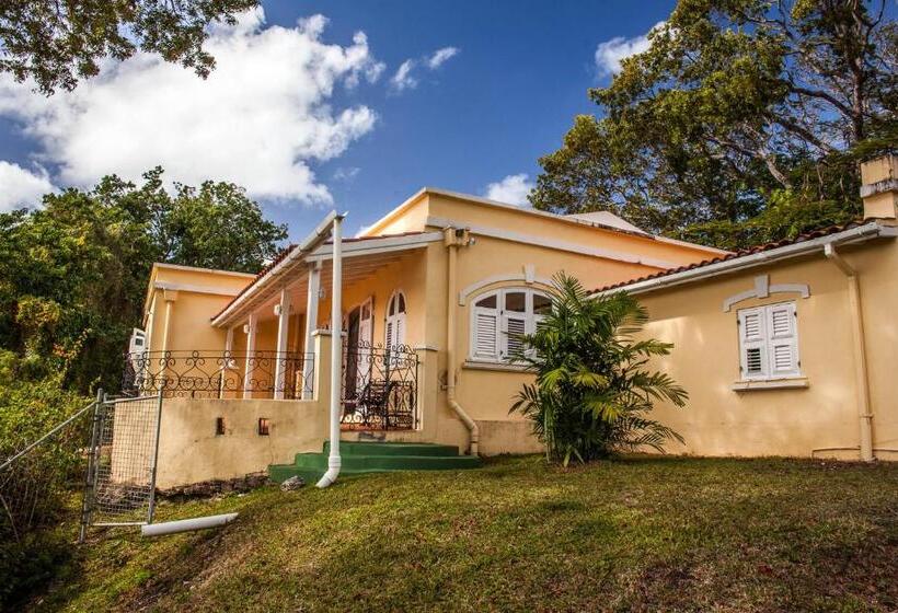 پانسیون Colleton Great House