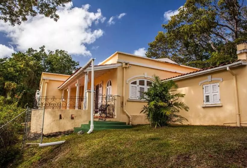 پانسیون Colleton Great House