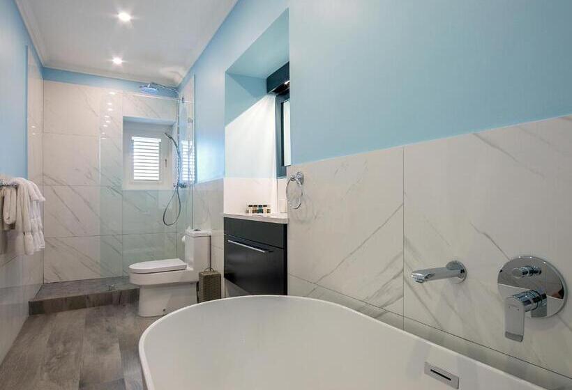 پانسیون Colleton Great House