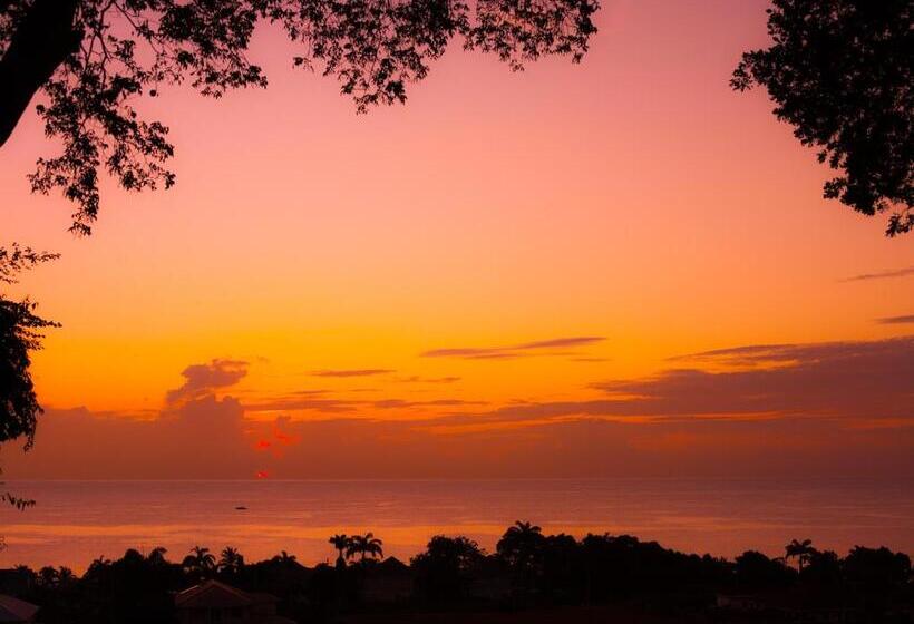 پانسیون Colleton Great House