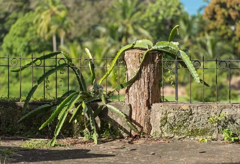 پانسیون Colleton Great House