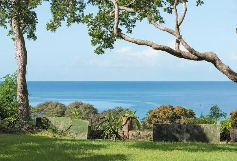 پانسیون Colleton Great House