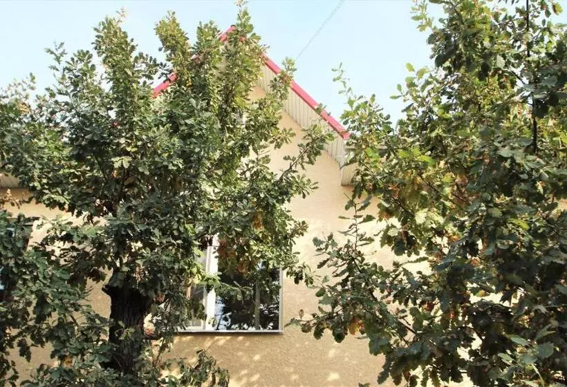 پانسیون Tiny Hotel Bishkek