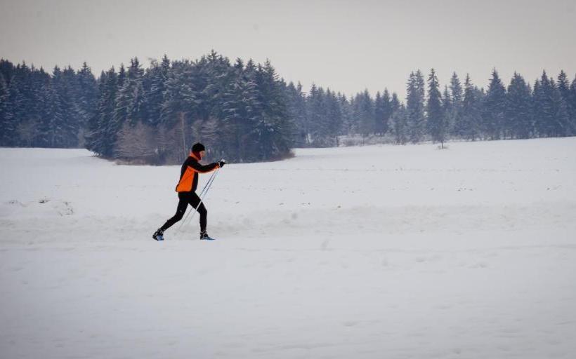 ペンション Penzión ľadoveň Skvelá Kuchyňa A Rodinná Atmosféra