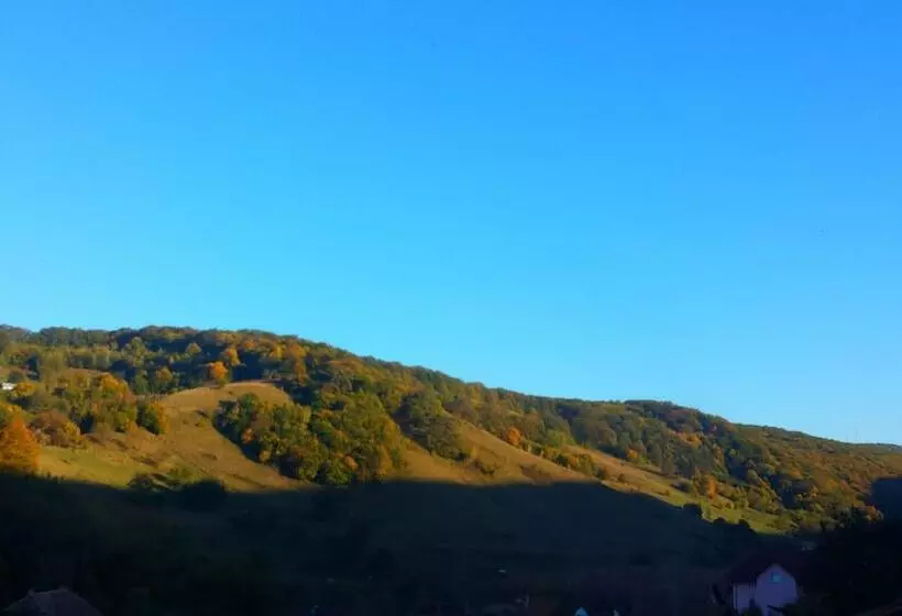 Casa Lily Japanese Retreat