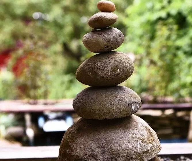 Casa Lily Japanese Retreat