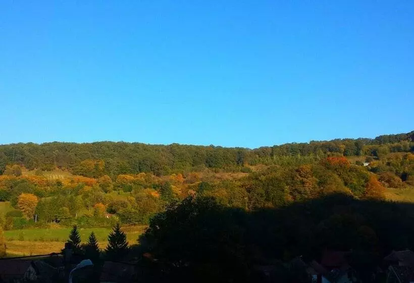 Casa Lily Japanese Retreat