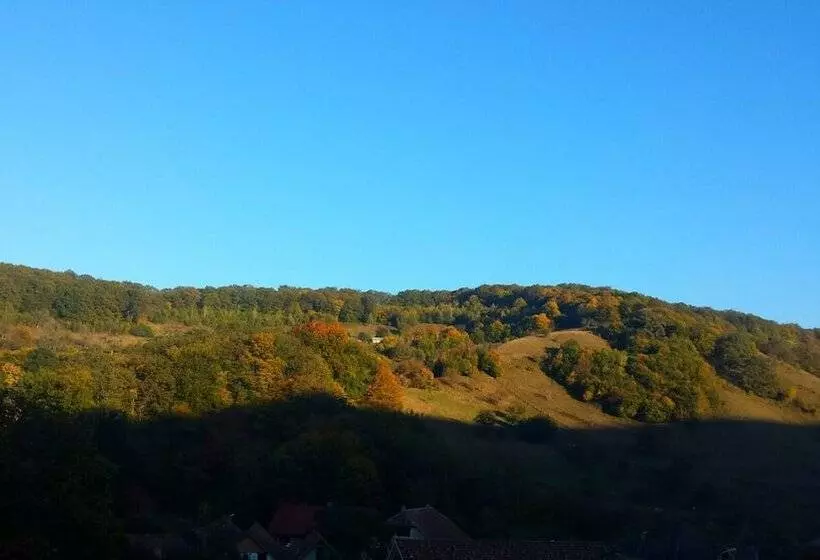 Casa Lily Japanese Retreat