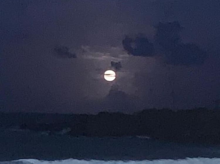 هتل Brisa Do Mar Beach