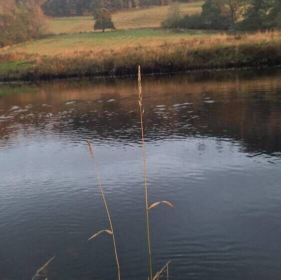 펜션 Balloan House