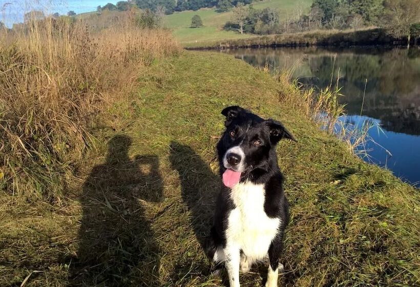 펜션 Balloan House