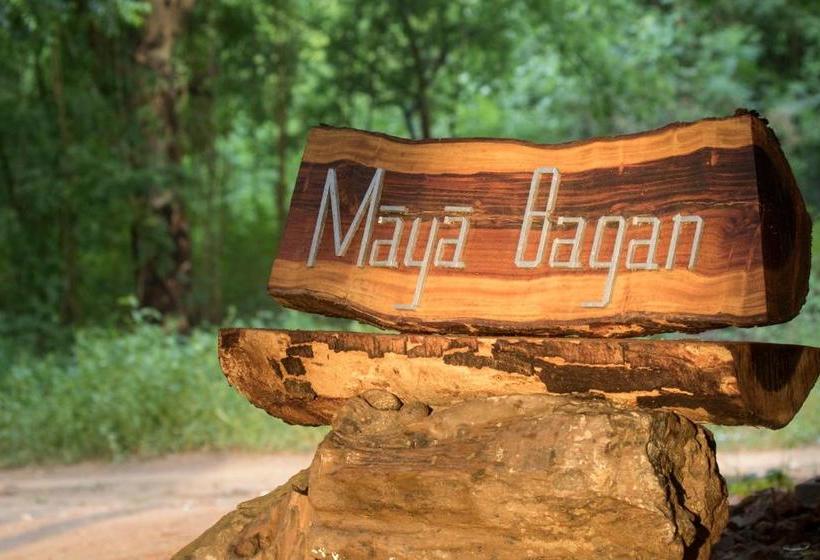 هاستل Maya Bagan