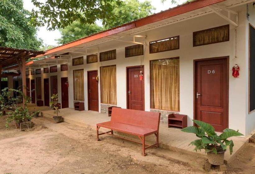 هاستل Maya Bagan