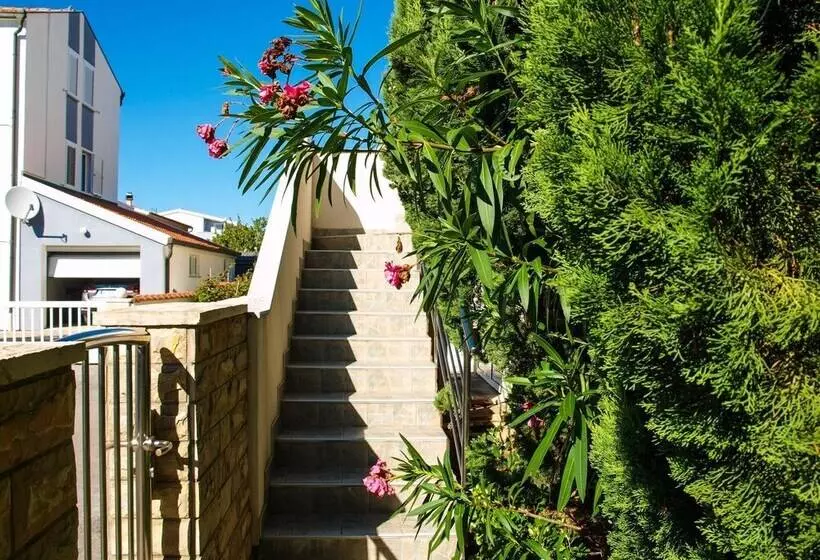 Apartment Complex Kristi