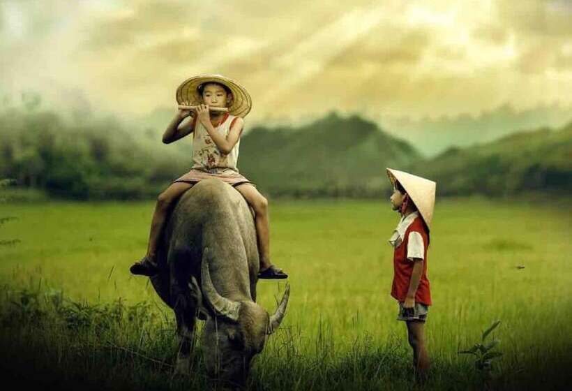 هاستل Ninh Binh Village 1990 Homestay