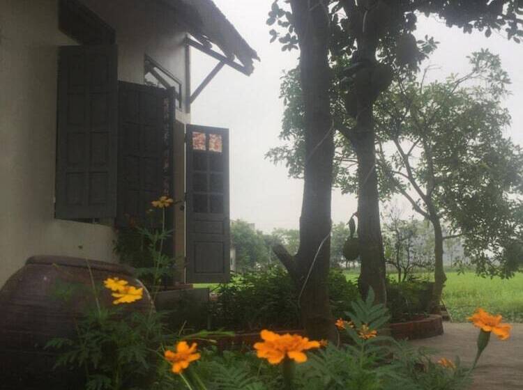 هاستل Ninh Binh Village 1990 Homestay