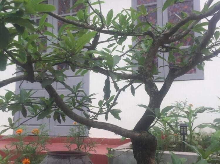 هاستل Ninh Binh Village 1990 Homestay