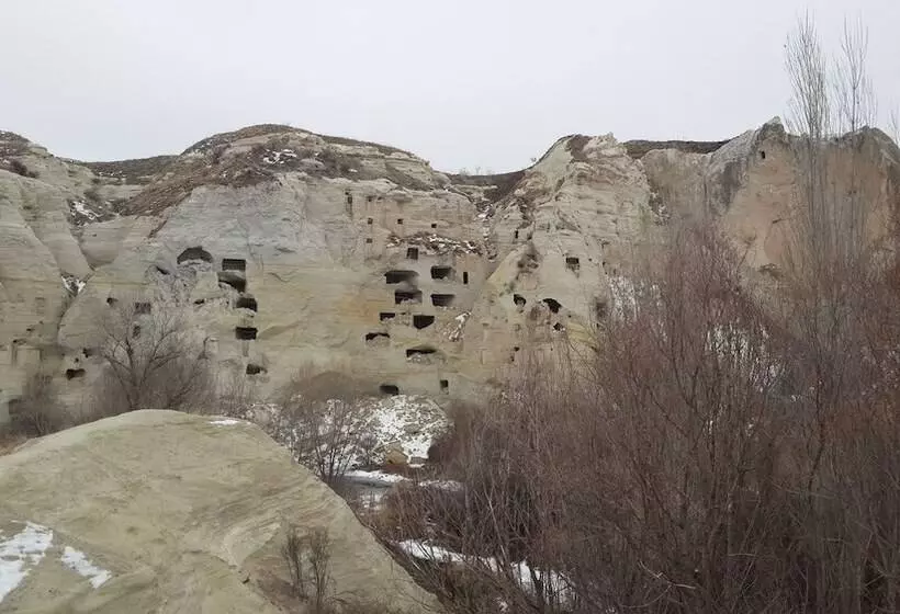 هتل Di̇ri̇li̇ş Banarya Pansi̇yon